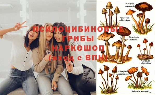 бутират Алексин