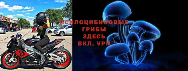 мдпв Алзамай